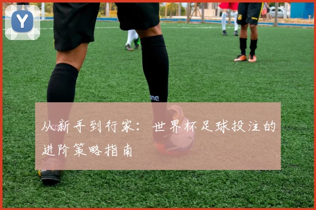 从新手到行家：世界杯足球投注的进阶策略指南