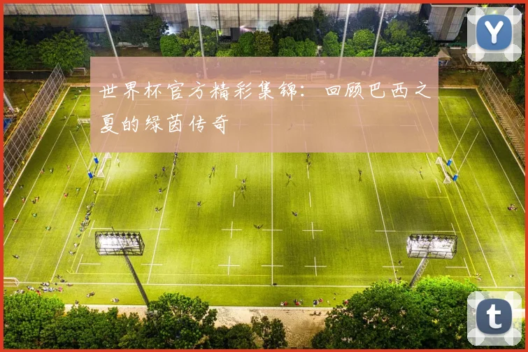 世界杯官方精彩集锦：回顾巴西之夏的绿茵传奇