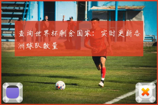 查询世界杯剩余国家：实时更新各洲球队数量